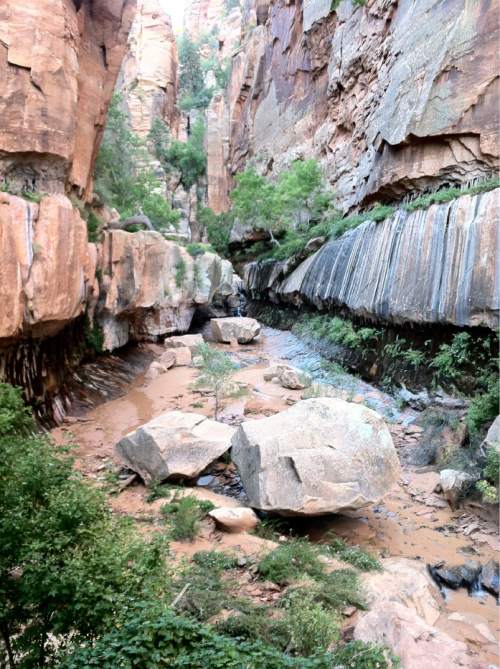 Nate Carlisle  |  The Salt Lake Tribune
A stream runs down Water Canyon near Hildale in this photo from Sept. 24, 2013.