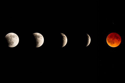 Trent Nelson  |  The Salt Lake Tribune
The total lunar eclipse in five photographs, seen from Arches National Park, Tuesday April 15, 2014.