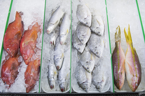 Keith Johnson | The Salt Lake Tribune
Strawberry grouper, thread fin, yellow seam bean and yellow-tail snapper  for sale at Ocean City Seafood Market on State Street in Salt Lake City. It's the second store for owner Hellen Chong and her sister Karen Chong.