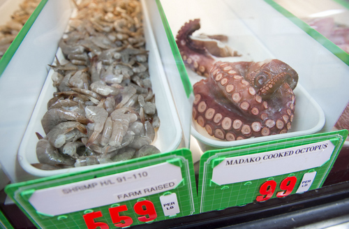 Keith Johnson | The Salt Lake Tribune

Shrimp and madako octopus for sale at Ocean City Seafood Market on State Street in Salt Lake City. It's the second store for owner Hellen Chong and her sister Karen Chong.
