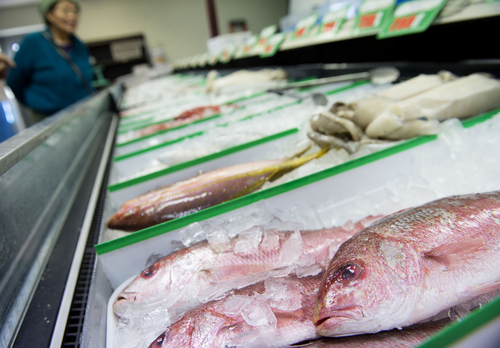 Keith Johnson | The Salt Lake Tribune

Shoppers peruse the fish for sale at Ocean City Seafood Market on State Street in Salt Lake City. It's the second store for owner Hellen Chong and her sister Karen Chong.