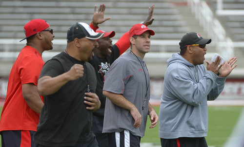 Leah Hogsten  |  The Salt Lake Tribune
Defense coaches get happy after a good play. The University of Utah football team practices Tuesday, April 15, 2014, at Rice-Eccles Stadium.