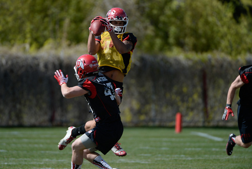Franciso Kjolseth  |  The Salt Lake Tribune
Uaea Masina hauls in a pass as the University of Utah football team gets ready for the season during Spring practice at the Spence Eccles Football Facility on Thursday, April 17, 2014.