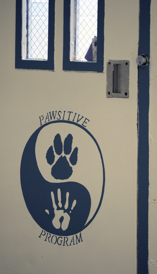 Al Hartmann  |  The Salt Lake Tribune
A cell door in Timpanogos women's prison at the Utah State Prison indicates inmates who are part of the Pawsitive Program, which trains and socializes shelter dogs to become therapy animals of ten for soldiers with PTSD.