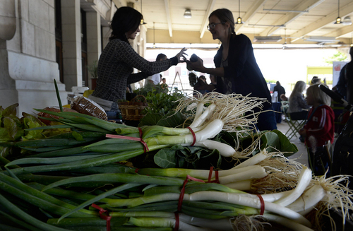 Scott Sommerdorf   |  The Salt Lake Tribune
Lori Peterson, left, of Okubo's Farms and Greenhouses, sells some micro greens as other vegetables including these onions are for sale at the last Downtown Winter Farmers Market of the season on Saturday. The market first opened in November and dozens of vendors have been offering local produce, meats, cheeses, baked goods every other Saturday at Rio Grande Depot in downtown Salt Lake City.
