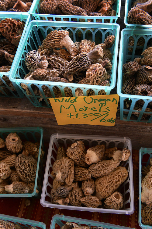 Scott Sommerdorf   |  The Salt Lake Tribune
Morel mushrooms from for sale at the Liberty Heights Fresh booth at the last Downtown Winter Farmers Market of the season, Saturday, April 19, 2014. The market first opened in November and dozens of vendors have been offering local produce, meats, cheeses, baked goods every other Saturday at Rio Grande Depot in downtown Salt Lake City.