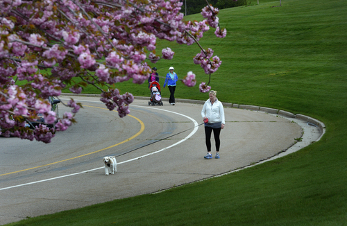 Scott Sommerdorf   |  The Salt Lake Tribune
Spring blossoms on flowering trees frame walkers in Sugar House Park, Sunday, April 27, 2014. A chance of rain and snow remains through midday Monday, according to the National Weather Service.