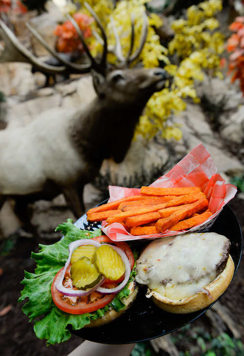 Franciso Kjolseth  |  The Salt Lake Tribune
The elk burger is just one of the wild game offerings at Cabela's in Lehi.