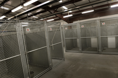 Scott Sommerdorf   |  The Salt Lake Tribune
The Sandy Animal Shelter, which was mostly empty on April 23, 2014, could become a no-kill facility. City officials are considering a program to increase adoptions and animal steralizations to save at least 90 percent of the dogs and cats that are brought to the shelter.
