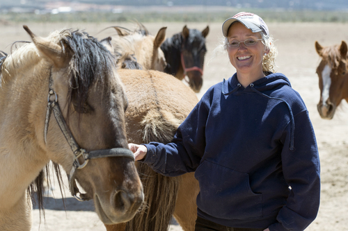 Rick Egan  |  The Salt Lake Tribune

Ginger Grimes says she could take in 10 wild horses if Iron and Beaver counties round them up this summer. The founder and operator of the Dust Devil Ranch Sanctuary for Horses south of Cedar City, Grimes already has several mustangs rescued from their previous owners. "I want to be part of the solution," says Grimes on, Thursday, April 24, 2014.