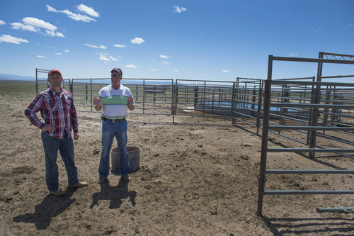 Rick Egan  |  The Salt Lake Tribune

Iron County Commission Chairman David Miller, left, and Beaver County Commissioner Mark Whitney discuss the failed attempt to lure wild horses into a water corral on private land northwest of Cedar City,  Wed., April 23, 2014.