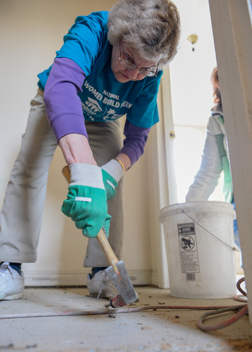 Franciso Kjolseth  |  The Salt Lake Tribune
Connie Lamb, a librarian at Brigham Young University works at removing long staples from the floor as part of National Women Build Week. Female students, faculty and staff from Utah Valley University and BYU have been working  together to rebuild a home to help a family in need on Wednesday, May 7, on a Habitat for Humanity home in Provo.