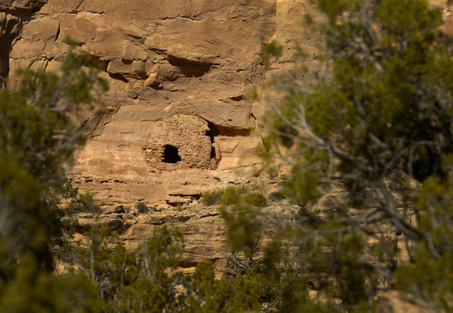 Leah Hogsten  |  The Salt Lake Tribune
Pueblo III-period cliff dwellings created by the Anasazi or Ancestral Puebloan peoples between 1150 and 1300 A.D. in Recapture Canyon near Blanding, Thursday, April 24, 2014.  The BLM closed Recapture Canyon to motorized use in 2007 after illegal ATV trail builders caused more than $300,000 in damage to remnants of pit houses and underground storage containers while widening the trail in 2005.