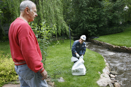 Scott Sommerdorf  |  Salt Lake Tribune
OIL SPILL
Yale Avenue resident Tom Kurrus (cq) speaks with a Chevron employee who was working to clean the streambed behind his home at 1206 Yale Ave., Sunday 6/13/10.