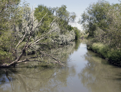 Al Hartmann  |  The Salt Lake Tribune 
A view of the Jordan River from the bridge near 1800 North and Redwood Road. The newly opened one-mile section connects Salt Lake and Davis counties and links up with the Legacy Parkway Trail.