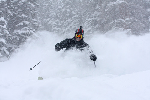 | Tribune file photo
A skier carves through powder at the Snowbird ski resort on March 23 2011. Majority interest in the ski resort was sold to Ian Cumming and his family in May 2014.