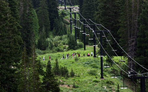 Steve Griffin  |  Tribune file photo

A guide led group of people make their way up a trail in Albion Basin during the Wasatch Wildflower Festival at Alta, Utah Saturday, July 30, 2011. Majority interest in the ski resort was sold to Ian Cumming and his family in May 2014.