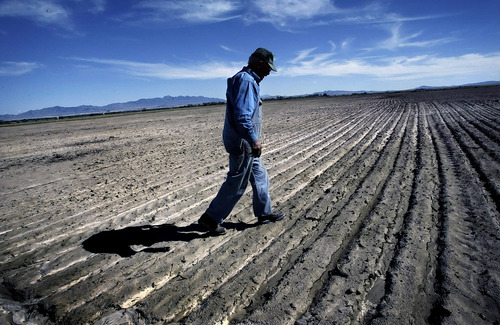 Chris Detrick  |  The Salt Lake Tribune

Cecil Garland, who was 80 when this photo was made in 2005, walks through one of his fields on his ranch in Callao. Callao is located in the west desert of the county, near the Nevada border, and according to Garland is "90 miles from any road that will take you anywhere."