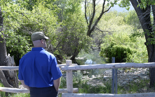 Al Hartmann  |  The Salt lake Tribune 
Matthew Allen with the U.S. Bureau of Reclamation looks over the restored stream and wetland area near Willard Bay State Park's Eagle Beach Pavillion North Marina Wednesday May 21. The area was closed in Spring 2013 due to a diesel fuel spill from an underground pipeline.  The area has since undergone clean up and improvements including wildlife habitat, restoration of nature trails and new day-use and overflow parking.  The area will officialy open to the public on Saturday.