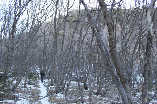 Jessica Miller  |  The Salt Lake Tribune
Kelly Miller hikes the Coldwater Canyon trail in Ogden Canyon in Ogden, Utah on March 18, 2014.