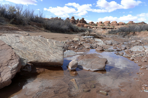 Al Hartmann  |  The Salt Lake Tribune 
Creek flows through Canyon Rims area just north of U-111.  It is an area up for consideration for inclusion into an expanded Canyonlands National park.