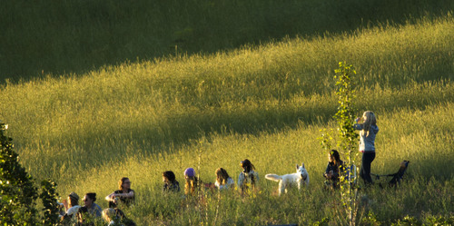 Steve Griffin  |  The Salt Lake Tribune

Fans sit on the grassy hillside outside the Red Butte Garden Amphitheatre as they listen to the Emmylou Harris concert in Salt Lake City Tuesday, June 3, 2014.