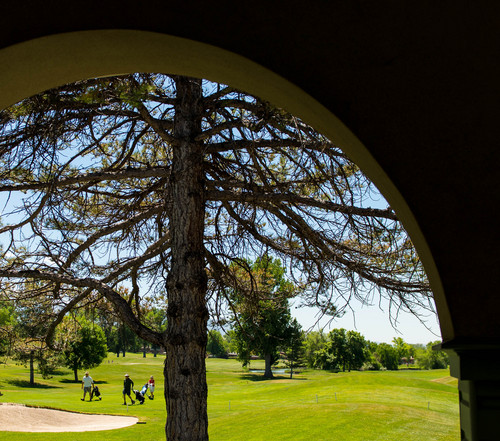 Trent Nelson  |  The Salt Lake Tribune
With Salt Lake City trying to rescue its golf courses from financial collapse, one option is closing Utah's oldest golf course, Forest Dale, shown Thursday June 5, 2014.