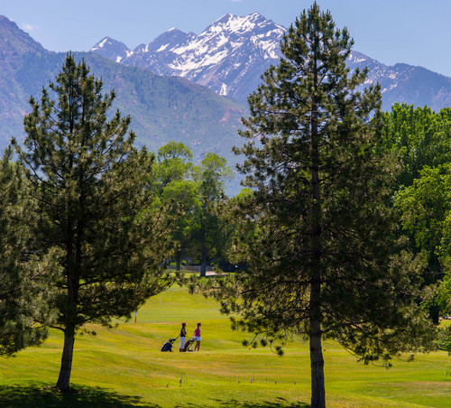 Trent Nelson  |  The Salt Lake Tribune
With Salt Lake City trying to rescue its golf courses from financial collapse, one option is closing Utah's oldest golf course, Forest Dale, shown Thursday June 5, 2014.