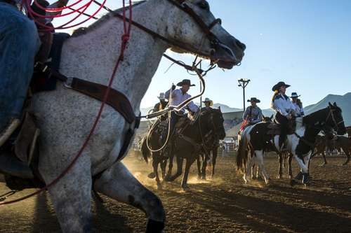 Chris Detrick  |  The Salt Lake Tribune
Cowboys and cowgirls ride around in the warmup arena during the Utah State High School Rodeo Association Finals at the Wasatch County Event Center in Heber City Thursday June 5, 2014.