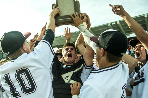 Chris Detrick  |  The Salt Lake Tribune
Jordan's Colton Shaver (12) holds up the trophy as he celebrates with their teammates after winning the 5A state championship at Brent Brown Ballpark Friday May 23, 2014. Jordan defeated Pleasant Grove 4-3.