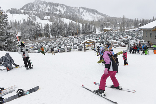 Scott Sommerdorf   |  The Salt Lake Tribune
The parking lot was packed at Brighton Ski Resort in December of 2013.