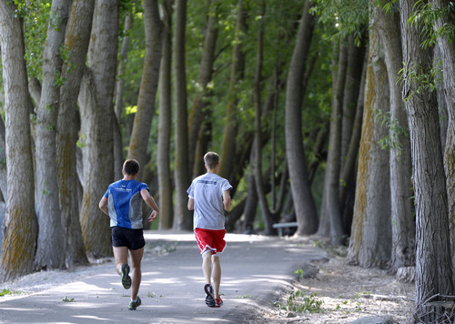 Al Hartmann  |  The Salt Lake Tribune
Runners pass through the shade of Cottonwood trees along the Provo River Parkway Trail Friday June 13.