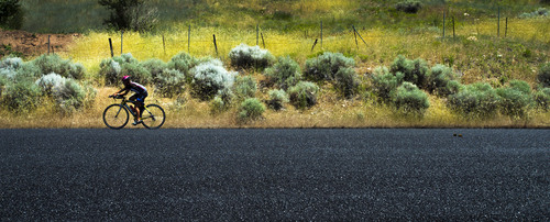 Steve Griffin  |  The Salt Lake Tribune


A cyclist pedals along a freshly paved Wasatch Blvd as colorful grass blows in the afternoon breeze in Cottonwood Heights, Utah Friday, June 13, 2014.