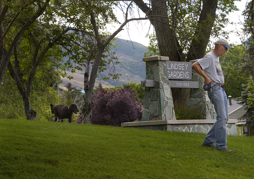 Scott Sommerdorf   |  The Salt Lake Tribune
A dog owner walks with his off-leash dog in an area of Lindsey Gardens that is posted as an area that prohibits off-leash dogs, Sunday, June 15, 2014. Salt Lake County Animal Services, which enforces Salt Lake City ordinances regarding animals, is stepping up issuing citations to dog owners who let their pets off leash in parks that are not designated as such.