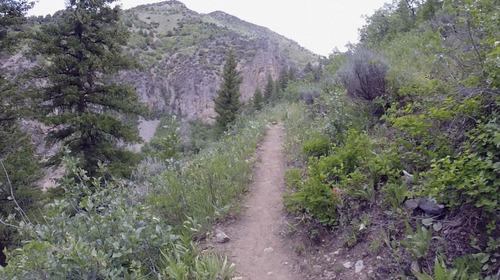 Jessica Miller  |  The Salt Lake Tribune
Wheatgrass Canyon Trail near Causey Reservoir, June 12, 2014.