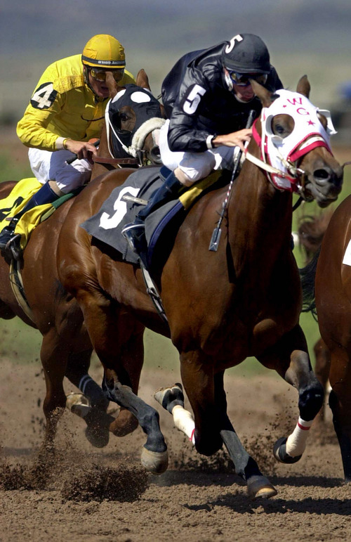 Jeremy Harmon |  Tribune file photo
 Go For the Diamonds (5), ridden by Jay Conklin, gets away from the pack during Wyoming Downs races in Evanston, Wyoming, Sunday, July 13, 2003.  The horse won the race.