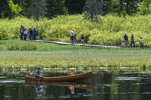 Chris Detrick  |  The Salt Lake Tribune
Families boat and walk around looking at nature and wildlife during Kid's Day at Silver Lake at the top of Big Cottonwood Canyon Saturday June 21, 2014.