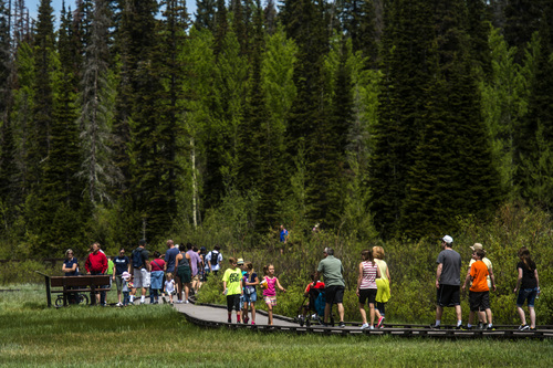 Chris Detrick  |  The Salt Lake Tribune
Families walk around looking at nature and wildlife during Kid's Day at Silver Lake at the top of Big Cottonwood Canyon Saturday June 21, 2014.