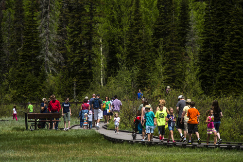Chris Detrick  |  The Salt Lake Tribune
Families walk around looking at nature and wildlife during Kid's Day at Silver Lake at the top of Big Cottonwood Canyon Saturday June 21, 2014.