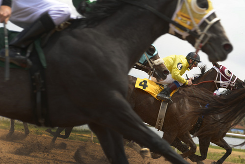 Leah Hogsten  |  The Salt Lake Tribune
Jockeys and their mounts thunder down the home stretch. Wyoming Downs opens its 2014 racing season Saturday June 21, 2014. . The 16-day weekend meet runs through Aug. 10.