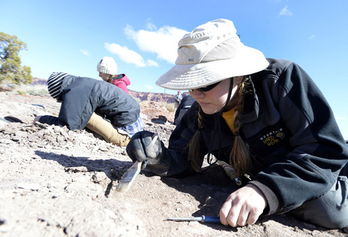 Al Hartmann  |  The Salt Lake Tribune 
Volunteers with the Natural History Museum of Utah look for fossils near Canyonlands National Park.