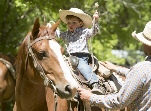 Rick Egan  |  The Salt Lake Tribune

Butch Jensen's grandson, Jax Christensen, sits on a horse during a break on a cattle drive from the desert lowlands to the high mountain pastures of the Tavaputs Plateau, Saturday, June 14, 2014