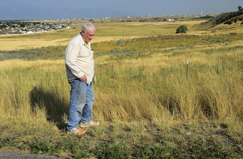 Scott Sommerdorf   |  The Salt Lake Tribune
Dennis Morgan walks by a field where at least nine horse were found to be abandoned without water on Friday. Many of the animals died before help could reach them. Morgan was the first to alert authorities to the plight of the horses in the field not far from his home. He said he would often watch the horses cavort in the field from his back window.