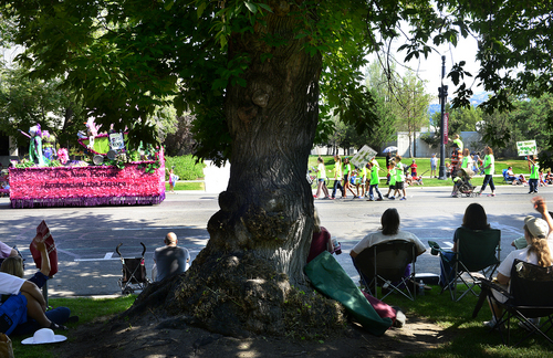 Scott Sommerdorf   |  The Salt Lake Tribune
People enjoy the shade of a very old tree that has seen more than its share of parades as the annual Days of '47 Youth Parade flowed through downtown Salt Lake City, going west on 500 South and ending at Washington Square, where the Days of '47 Family Festival was held, Saturday, July 19, 2014.