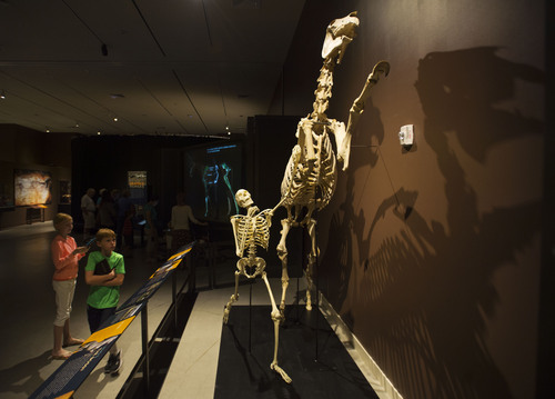 Steve Griffin  |  The Salt Lake Tribune


Visitors look at life size skeletons of a human and a horse during the opening of "The Horse"--an exhibit from the American Museum of Natural History in New York City, in Salt Lake City, Utah Monday, July 21, 2014.  The exhibit illuminates the story of how humans have shaped the horse and how the horse, in turn, has shaped us. The special exhibition includes cultural objects from around the world, a hand-painted diorama depicting the evolution of the horse and interactive displays that invite visitors to test their strength in horsepower, identify different breeds and look inside a life-size, moving horse.