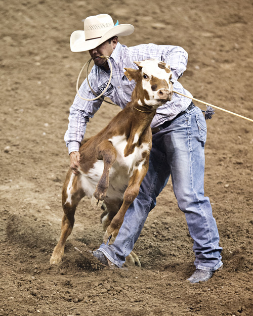 Lennie Mahler  |  The Salt Lake Tribune
Jake Hannum scores a 7.6 in the calf roping event of the Days of '47 Rodeo at EnergySolutions Arena, Friday, July 25, 2014.