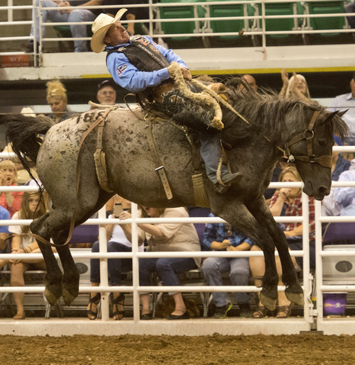 Rick Egan  |  The Salt Lake Tribune

Rusty Allen, Eagle Mountain, rides in the saddle bronc competition, at the Days of 47 Rodeo, at EnergySolutions Arena, Saturday, July 26, 2014