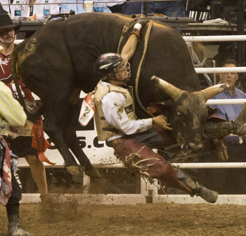 Rick Egan  |  The Salt Lake Tribune

Dustin Bowmen, Fredircksburg, PA, rides in the bull riding , at the Days of 47 Rodeo, at EnergySolutions Arena, Saturday, July 26, 2014