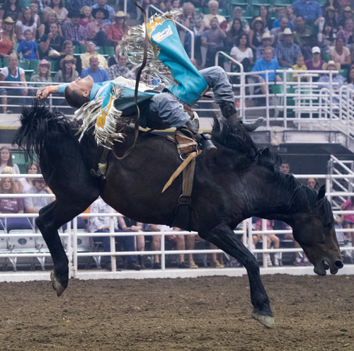 Rick Egan  |  The Salt Lake Tribune

Heath Ford, Slocum, Texas, rides in the bareback competition, at the Days of 47 Rodeo, at EnergySolutions Arena, Saturday, July 26, 2014