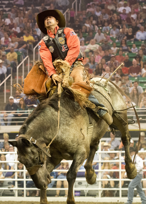 Rick Egan  |  The Salt Lake Tribune

Samuel Kelts, Millerville, AB, rides in the saddle bronc competition, at the Days of 47 Rodeo, at EnergySolutions Arena, Saturday, July 26, 2014
